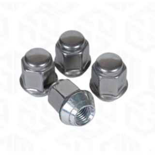 Wheel Nuts